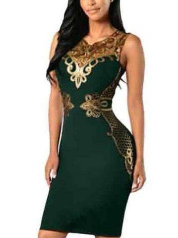 Lace Bodycon Sleeveless Evening party dress