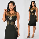 Lace Bodycon Sleeveless Evening party dress