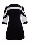 Flare Out Colorblock Dress